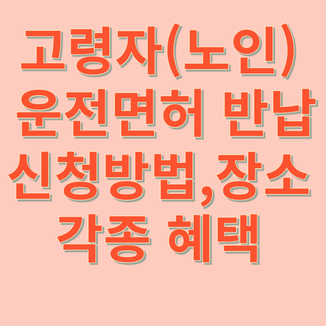 고령자(노인) 운전면허 반납