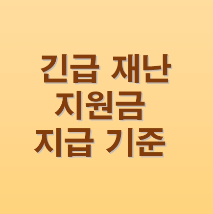  긴급재난지원금 기준 / 국민건강보험료 조회 방법