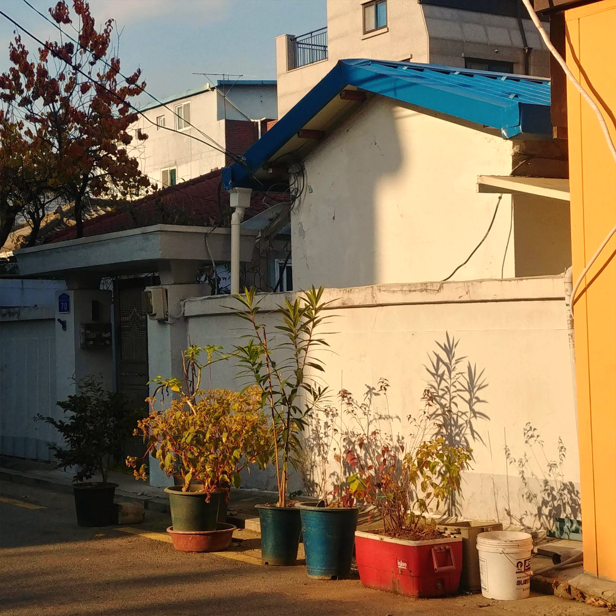  노을