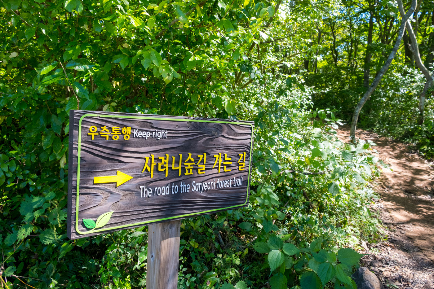  10/9 제주도 - 사려니 숲길