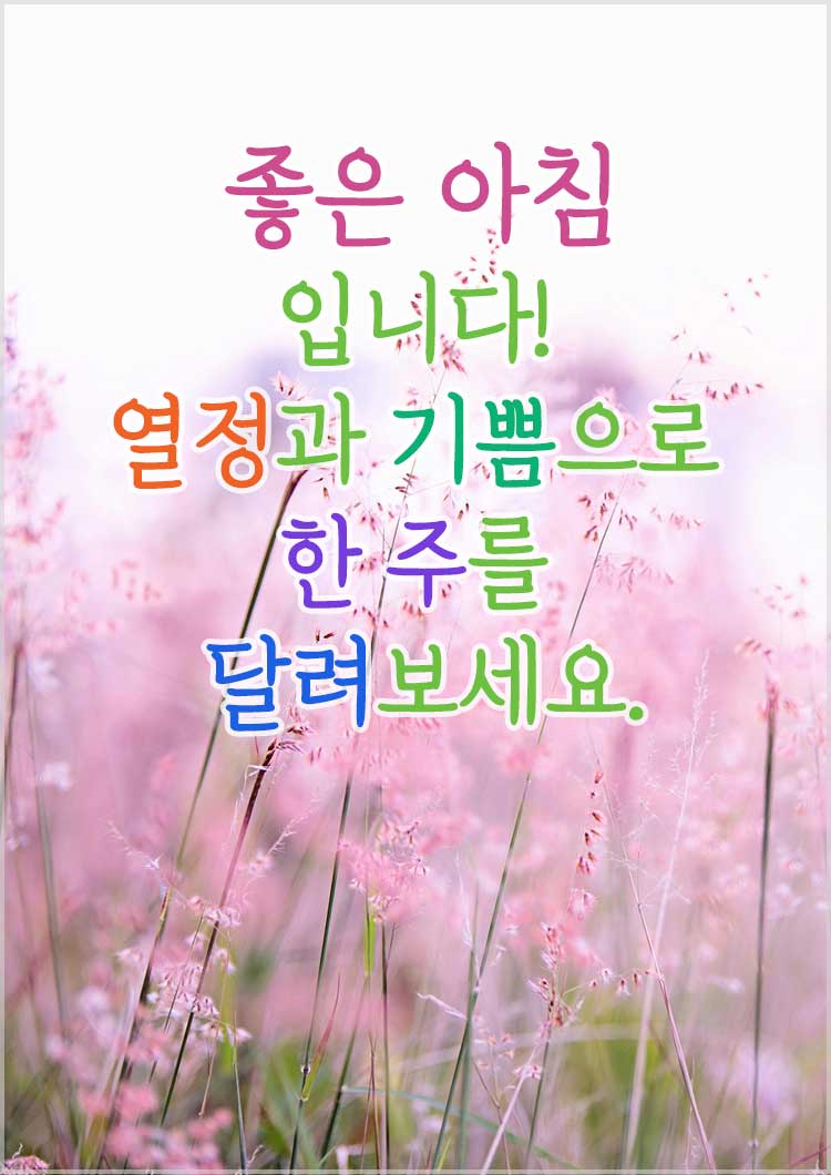 월요일 아침 인사말 인사문구-좋은 아침입니다! 열정과 기쁨으로 한 주를 달려보세요.