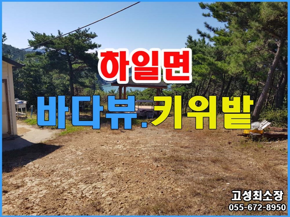  경남고성부동산  하일면 키위밭 토지매매, 조용하고 바다가 보이는 산 정상