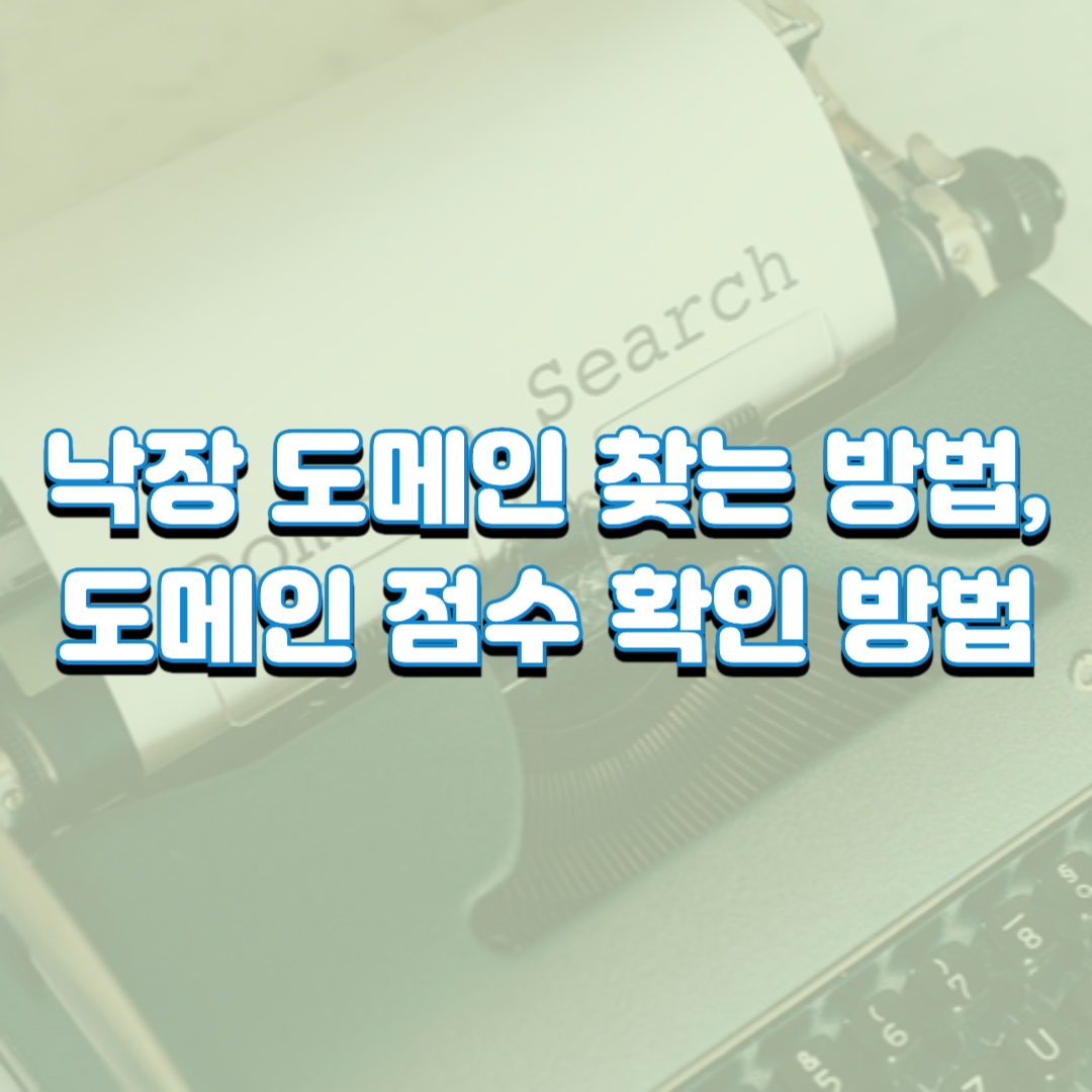  낙장 도메인 찾는 방법, 도메인 점수 확인 방법