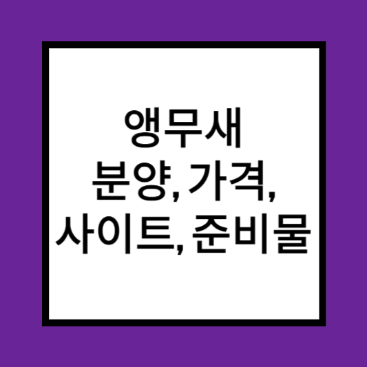 앵무새 분양