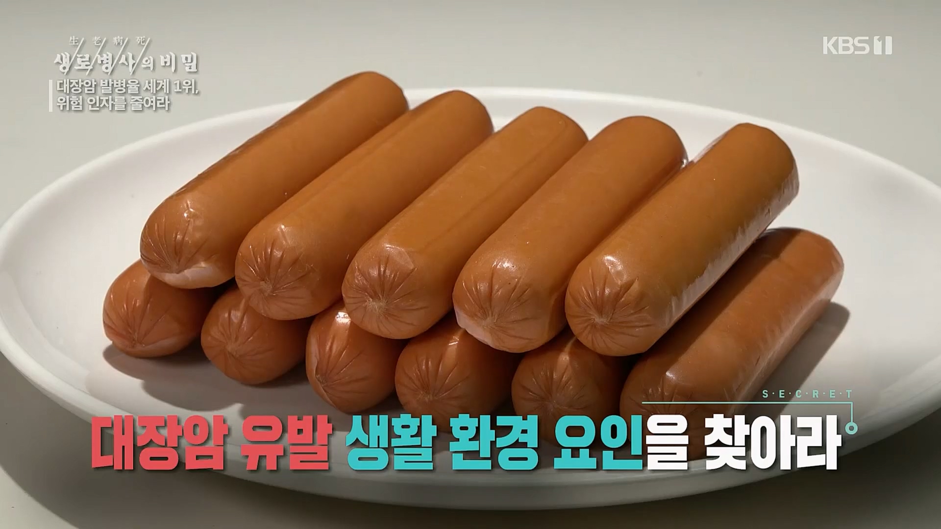생로병사의 비밀.E858.230301p.H264-F1RST.mp4_20230302_195704.256.jpg