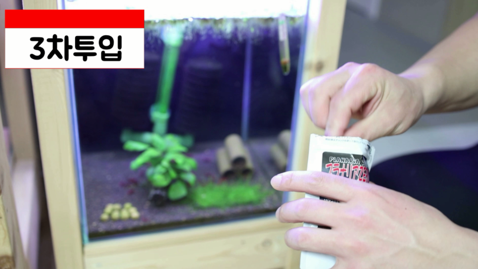 히드라 불청객 제거방법 12