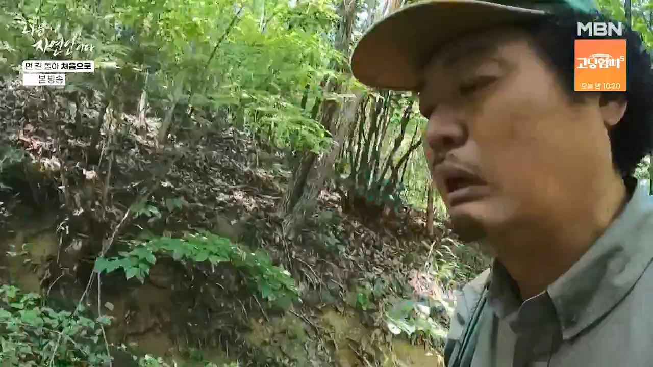 나는 자연인이다.E612.240704p-NEXT.mp4_20240704_195012.183.jpg