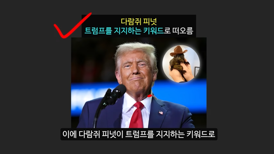 일론 머스크의 충격 발언과 도지코인, 플로키코인, 위프코인, 피넛코인, 프레드 코인의 강력한 상승 가능성 분석