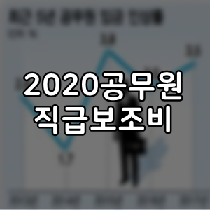  2020년 공무원 직급 보조비 어떻게 되나