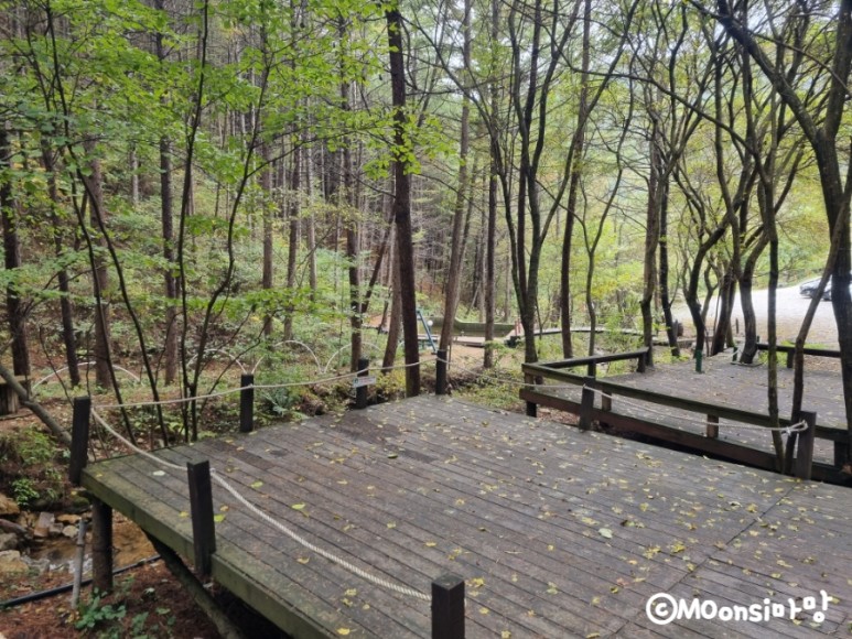 하늘그린캠프, 숲속의 30