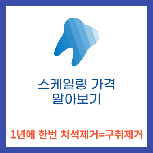  스케일링 가격 스케일링 의료보험 적용받아 70%할인받고 1년에 한번 치석제거 받으세요 !