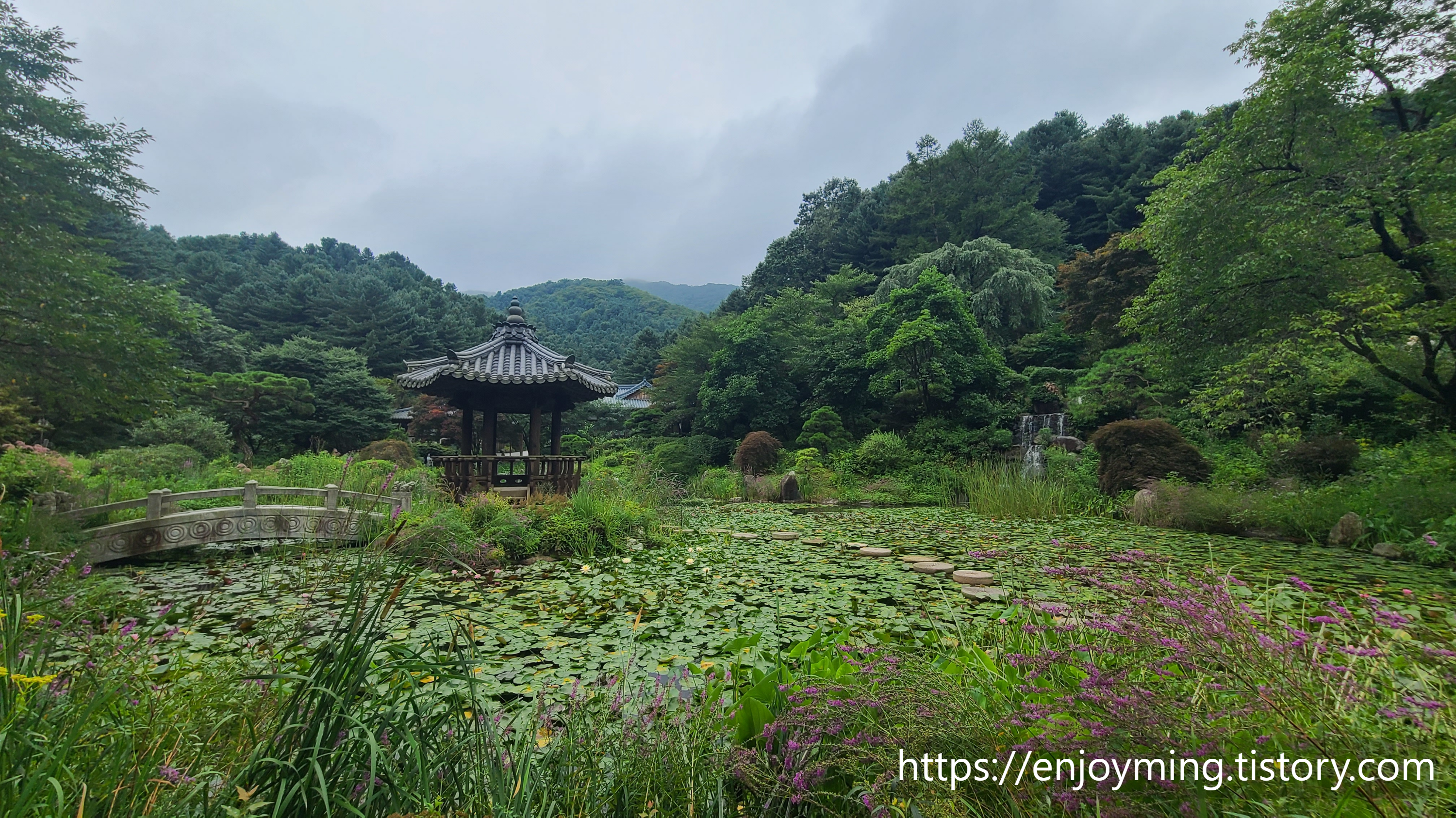 서화원