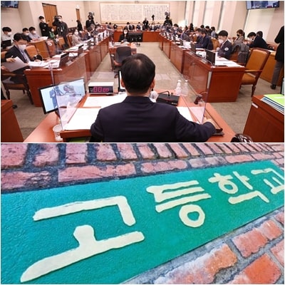  청소년 당원, 국회의원이 가능하다? (+ 정당법 개정내용)