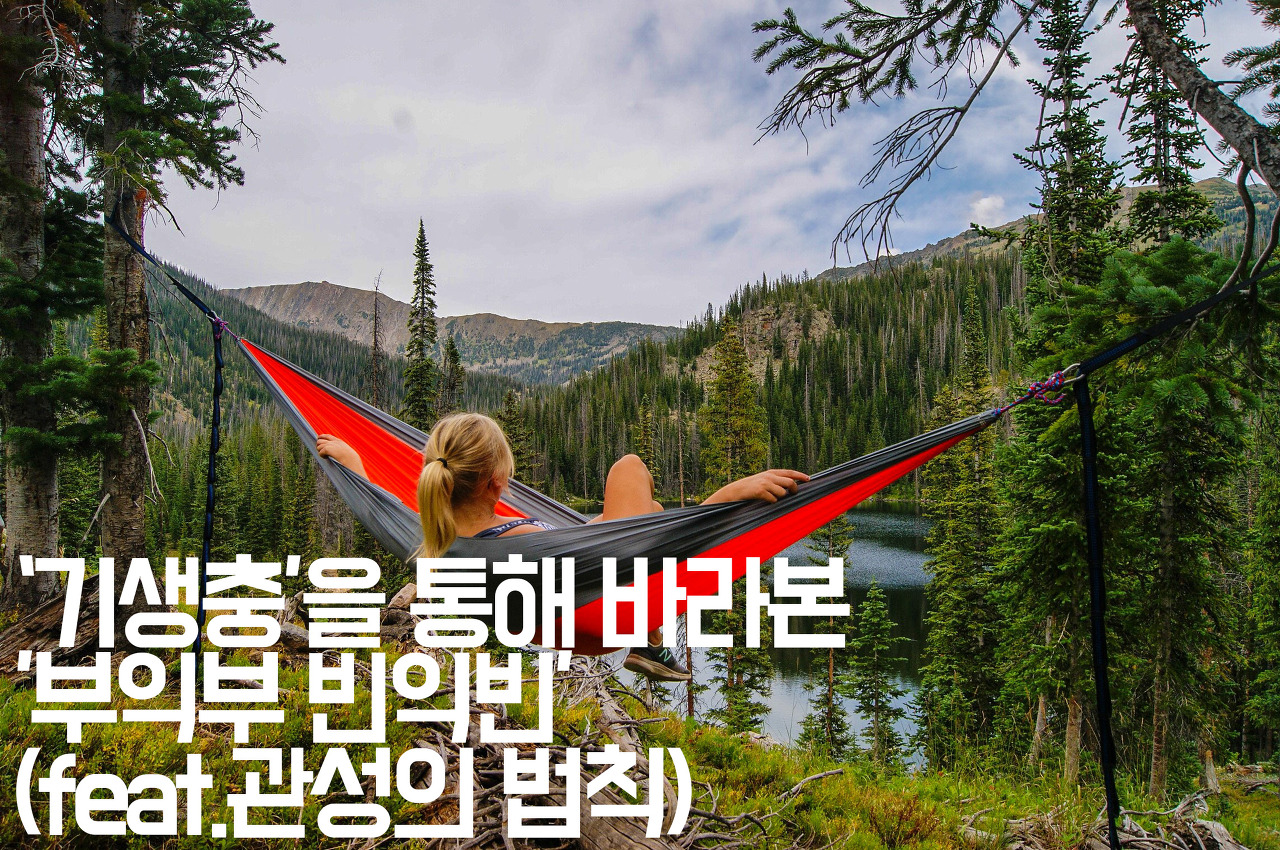  [부자습관] 기생충을 통해 바라본 '부익부 빈익빈'(feat.관성의 법칙)