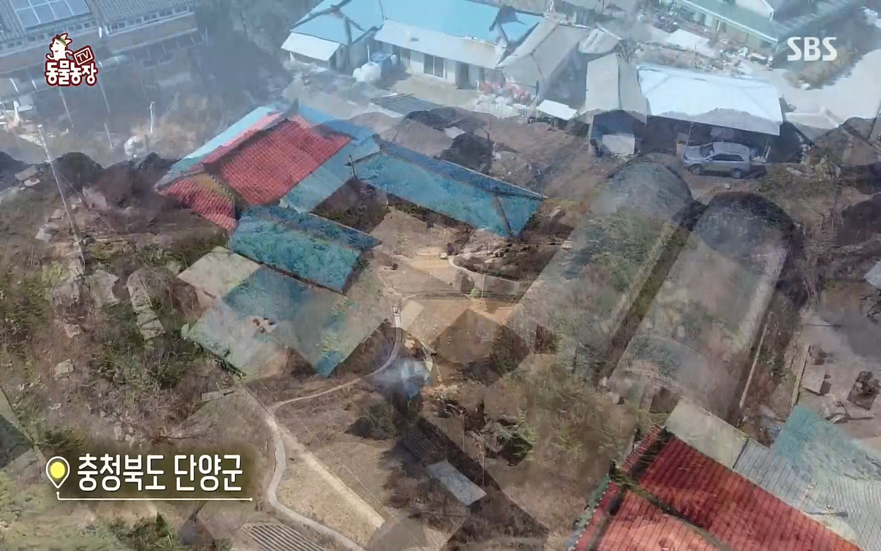 TV 동물농장.E1067.220501p.H264-F1RST.mp4_20220501_183405.971.jpg