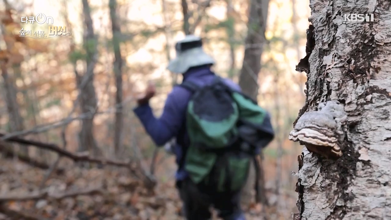 다큐 온.E227.231120p-NEXT.mp4_20231121_203707.437.jpg