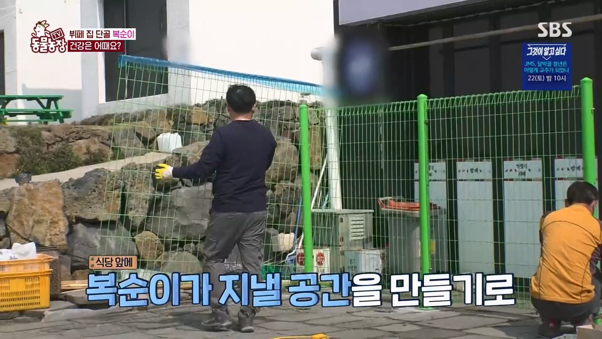 TV 동물농장.E1116.230416p.H264-F1RST.mp4_20230418_194203.755.jpg