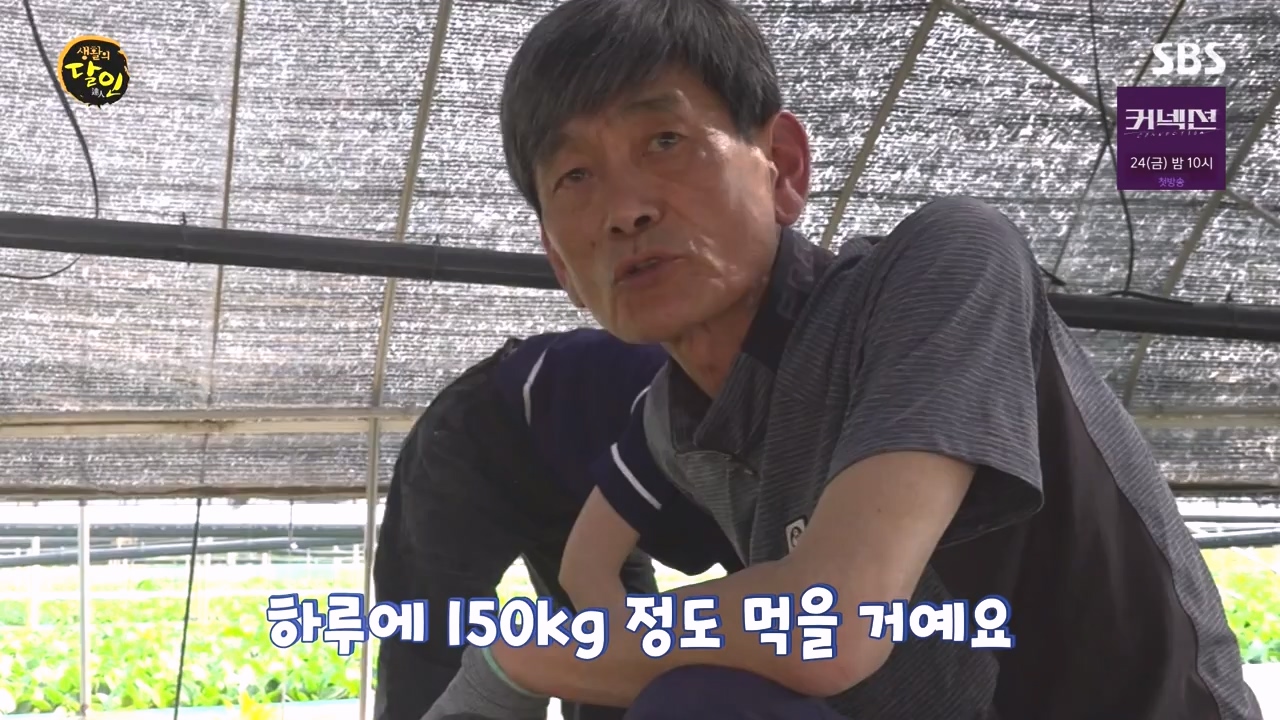 생활의 달인.E934.240507p-NEXT.mp4_20240507_195941.682.jpg