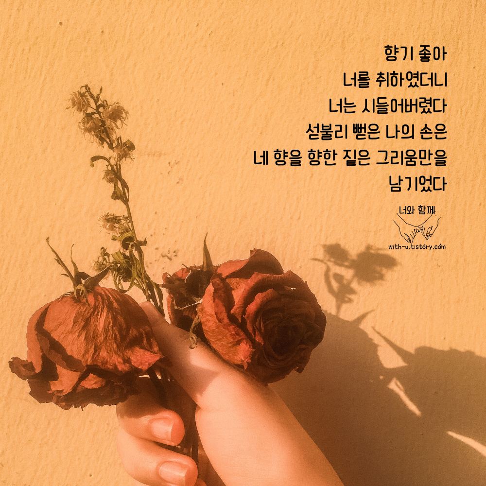  취향 명언 : 짧고 좋은 글귀 : 짧은 명언