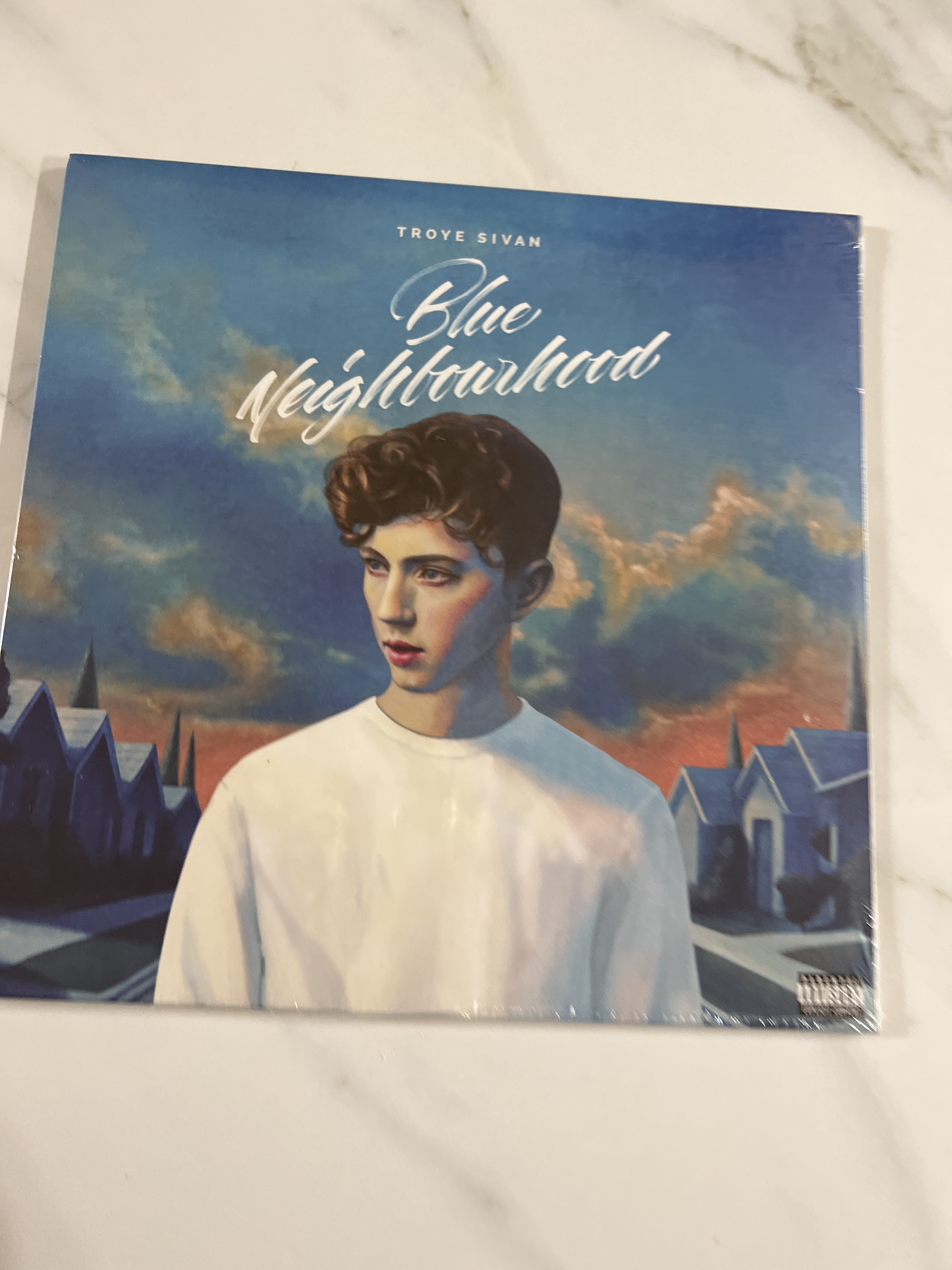  새로 산 LP 두 장 (트로이시반 Blue Neighbourhood, A Charlie Brown Christmas Vince Guaraldi