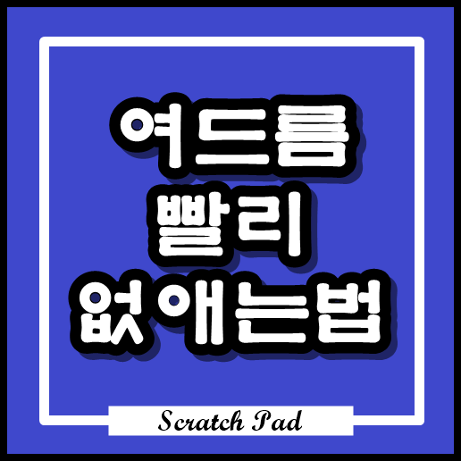  여드름 빨리 없애는법 알아보기