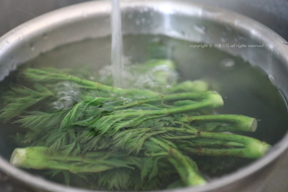 만들고 영양도 맛도 좋아요~ 오가피 요리!쇠고기 오가피꼬치 20