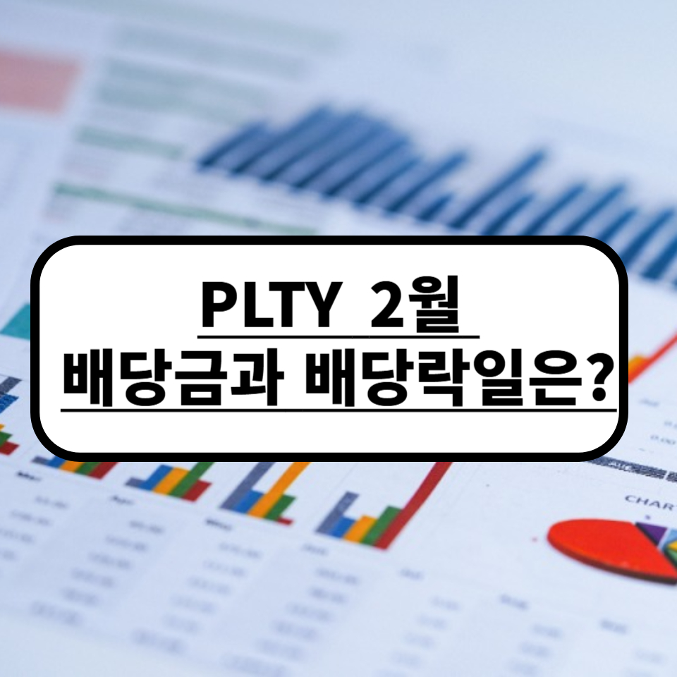 PLTY배당금 PLTY2월배당금 25년2월PLTY배당금 PLTY배당락일 25년2월PLTY배당락일 2월PLTY배당락일