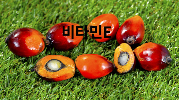 비타민E 효능과 오메가3와 함께 사용하는 이유, 비타민E 추천
