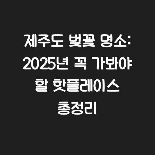 제주도 벚꽃 명소: 2025년 꼭 가봐야 할 핫플레이스 총정리 대표 이미지