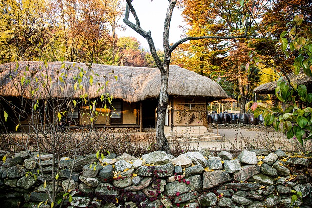 한국민속촌 입장료
