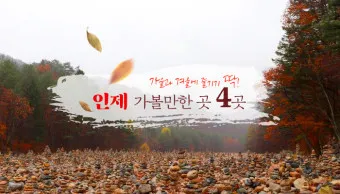 인제 가볼만한곳 베스트10 현지인 추천 필수코스_4