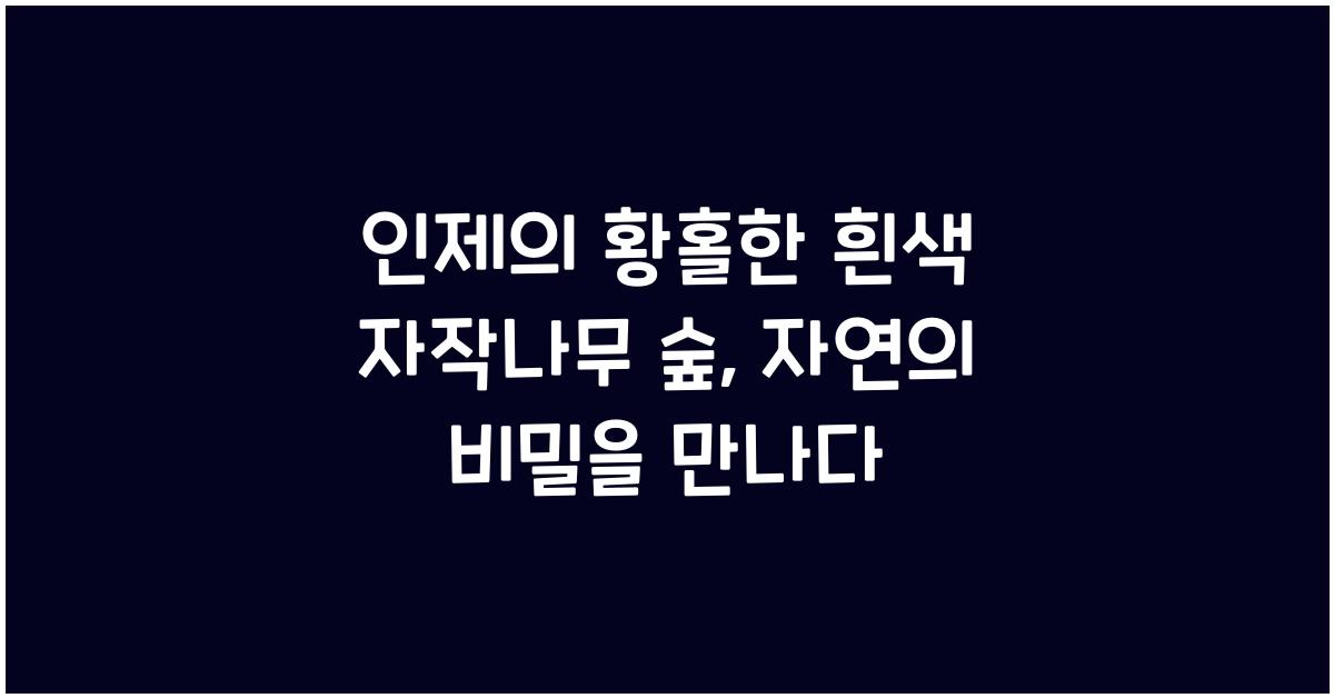 흰색 자작나무 숲