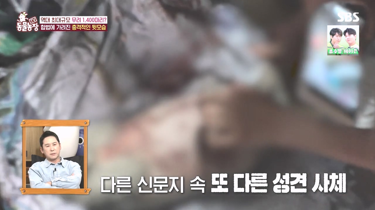 TV 동물농장.E1142.231023p-NEXT.mp4_20231022_172242.618.jpg