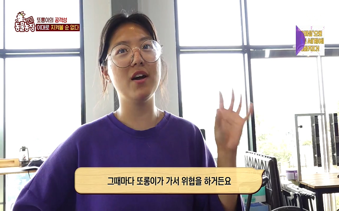 TV 동물농장.E1079.220725p-NEXT.mp4_20220724_151945.618.jpg