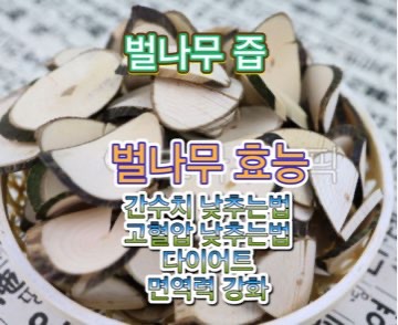 벌나무_즙_고혈압_낮추는_방법_효과