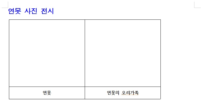 아래한글-표-예시