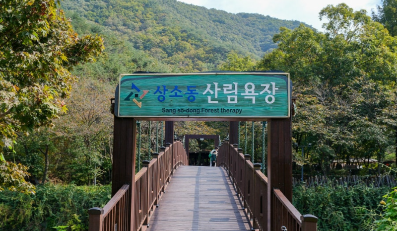 상소동 산림욕장