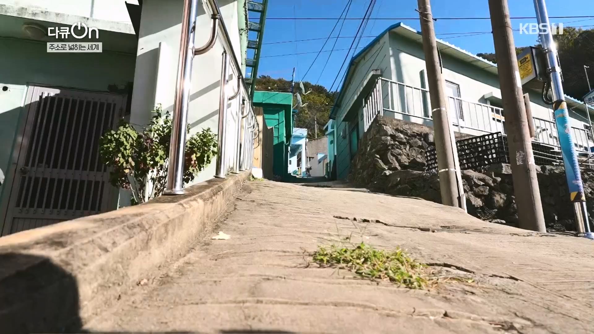다큐 On.E231.231210p.H264-F1RST.mp4_20231212_200652.438.jpg