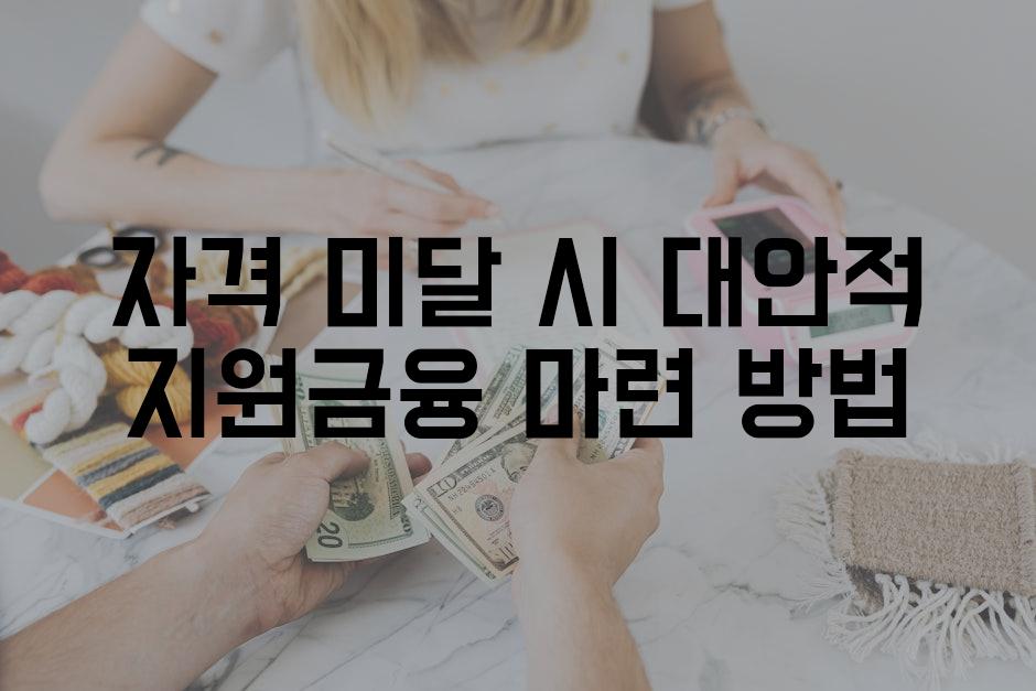 자격 미달 시 대안적 지원금융 마련 방법