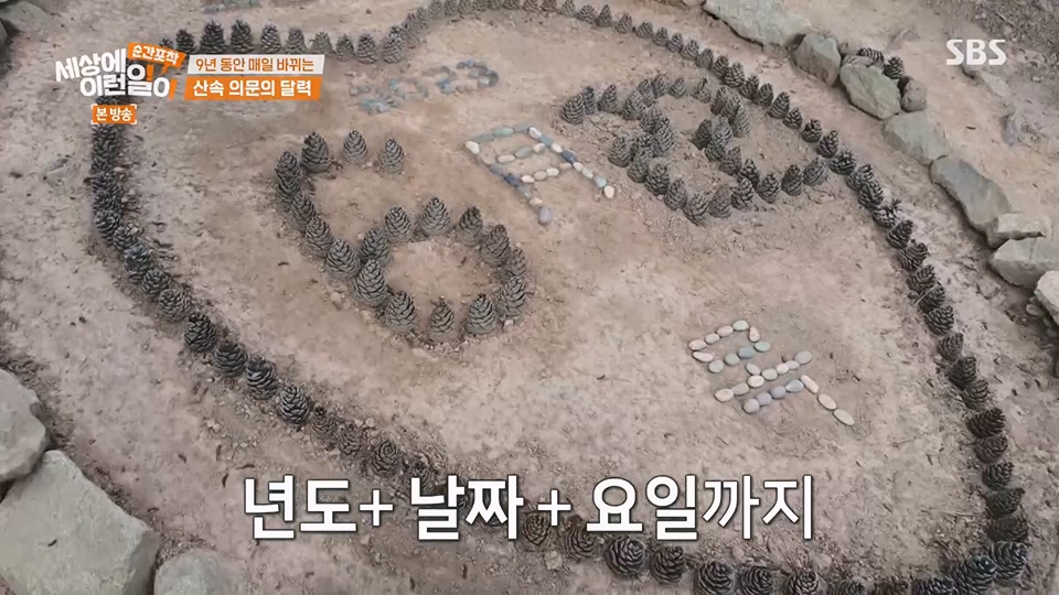 순간포착 세상에 이런일이.E1236.230708p.H264-F1RST.mp4_20230709_171131.541.jpg