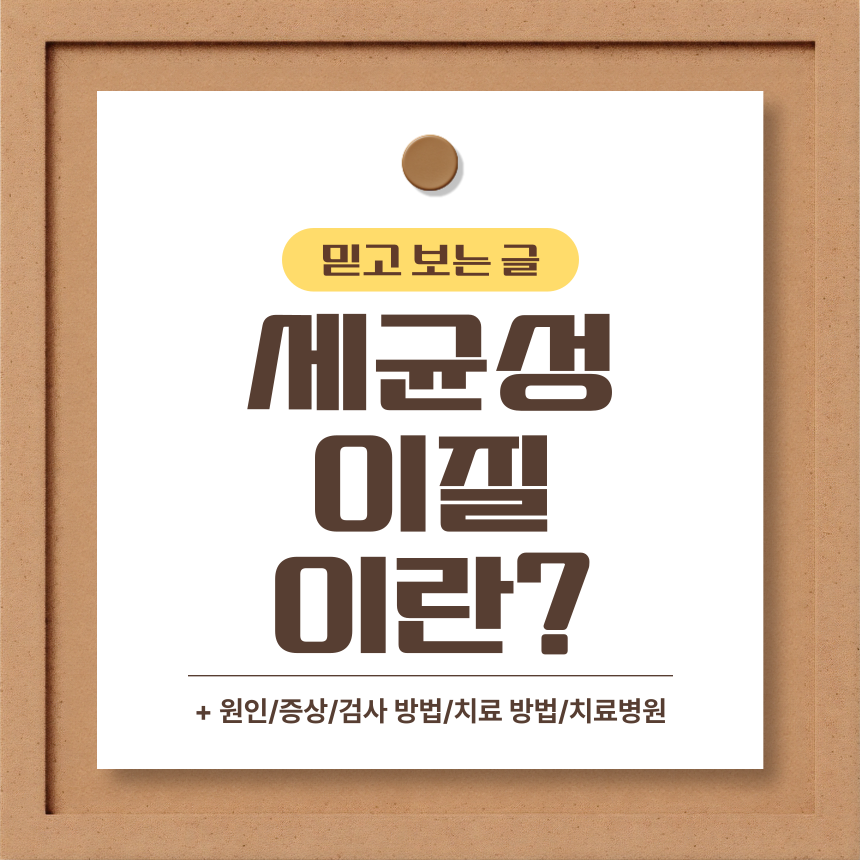  세균성 이질 이란?