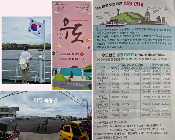 우도 요금표와 하우목동항
