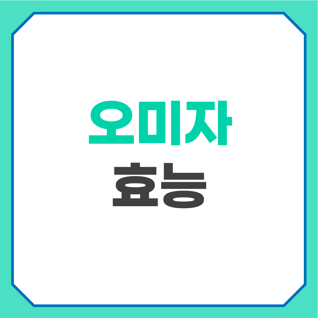 오미자 효능