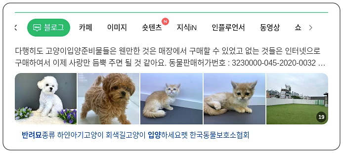 반려묘 입양_1_subsection