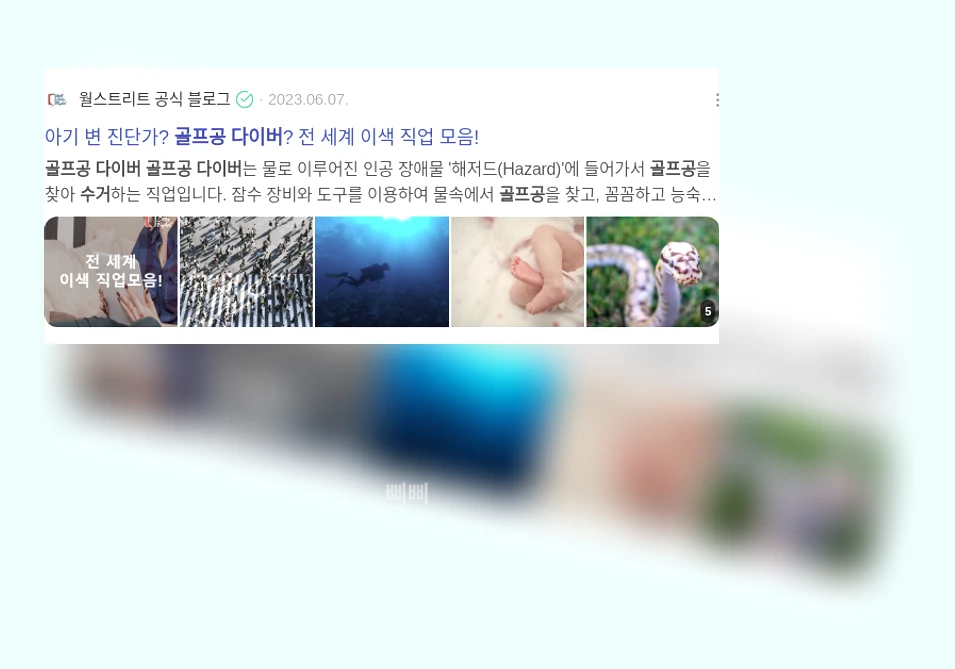 골프공 수거 다이버_2_subsection