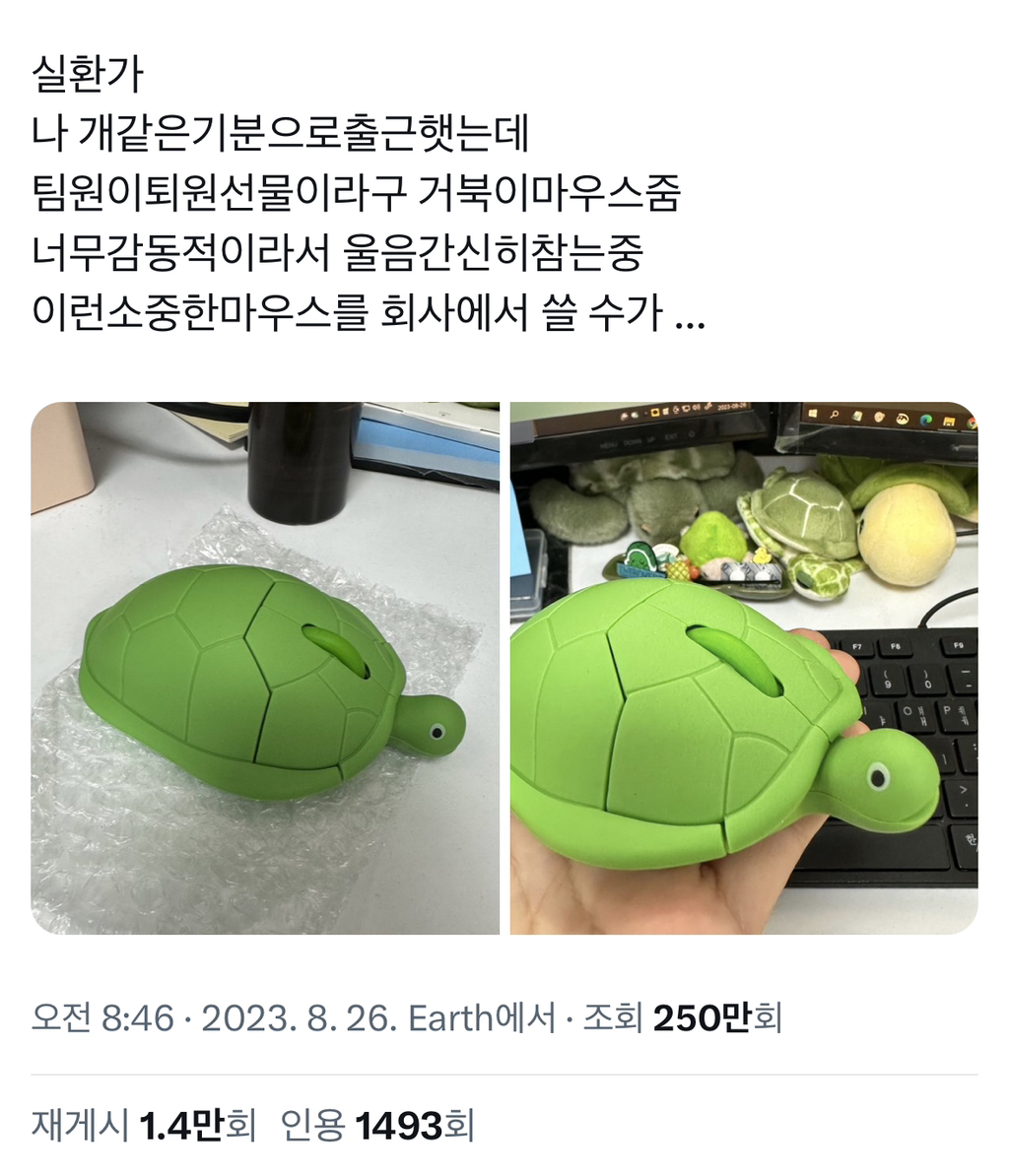 팀원이 퇴원 선물이라고 거북이마우스줌