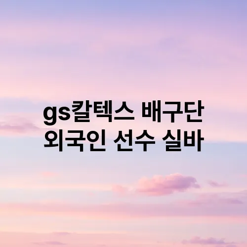 gs칼텍스 배구단 외국인 선수 실바