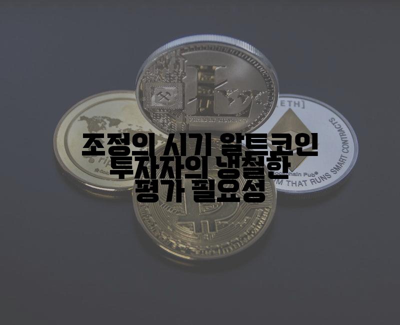 조정의 시기 알트코인 투자자의 냉철한 평가 필요성