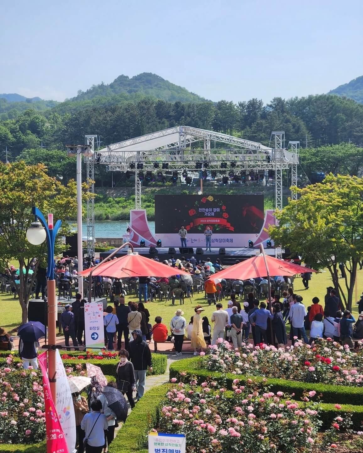 삼척 장미축제