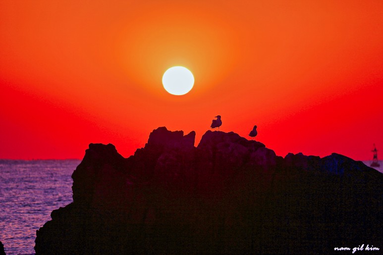 동해시 일출시간 동해안 일출명소 14